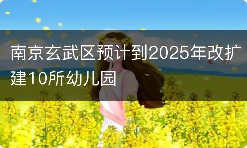南京玄武区预计到2025年改扩建10所幼儿园