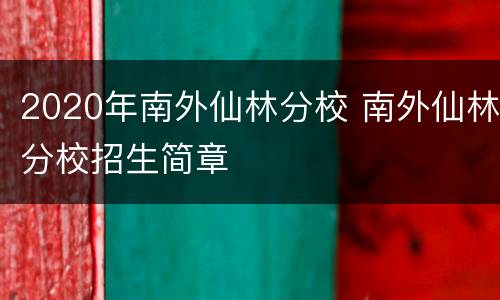 2020年南外仙林分校 南外仙林分校招生简章