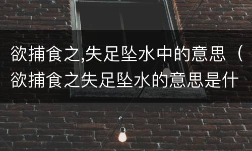 欲捕食之,失足坠水中的意思（欲捕食之失足坠水的意思是什么）