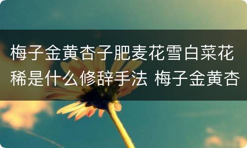 梅子金黄杏子肥麦花雪白菜花稀是什么修辞手法 梅子金黄杏子肥麦花雪白菜花稀的修辞手法