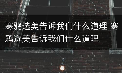 寒鸦选美告诉我们什么道理 寒鸦选美告诉我们什么道理