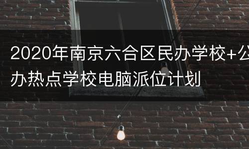 2020年南京六合区民办学校+公办热点学校电脑派位计划