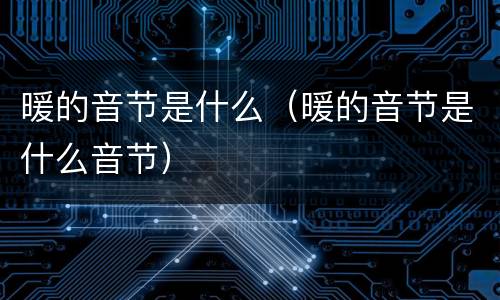 暖的音节是什么（暖的音节是什么音节）