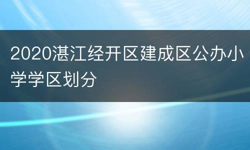 2020湛江经开区建成区公办小学学区划分