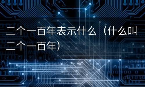 二个一百年表示什么（什么叫二个一百年）