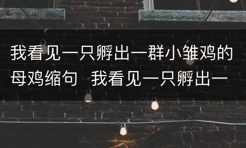 我看见一只孵出一群小雏鸡的母鸡缩句  我看见一只孵出一群小雏鸡的母鸡怎么缩句