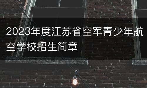 2023年度江苏省空军青少年航空学校招生简章