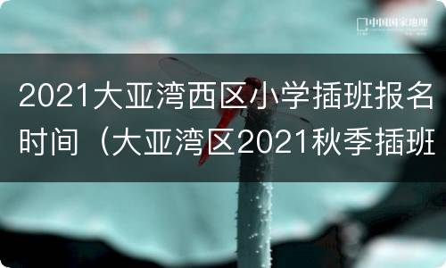 2021大亚湾西区小学插班报名时间（大亚湾区2021秋季插班招生）