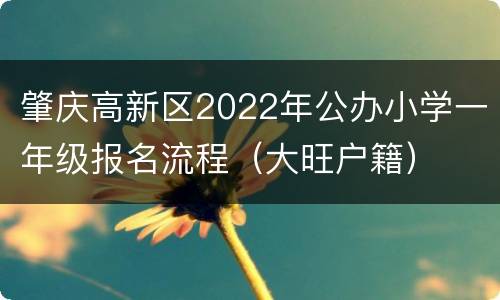 肇庆高新区2022年公办小学一年级报名流程（大旺户籍）