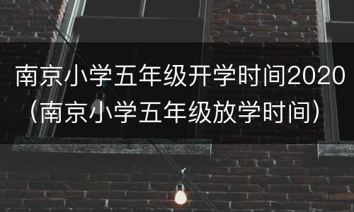 南京小学五年级开学时间2020（南京小学五年级放学时间）