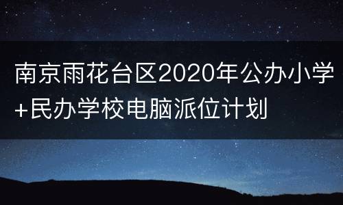 南京雨花台区2020年公办小学+民办学校电脑派位计划