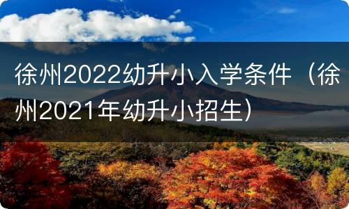徐州2022幼升小入学条件（徐州2021年幼升小招生）