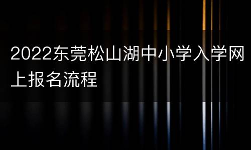 2022东莞松山湖中小学入学网上报名流程