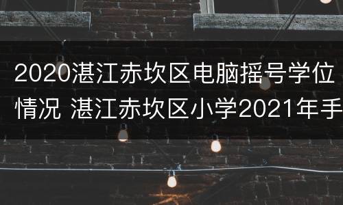 2020湛江赤坎区电脑摇号学位情况 湛江赤坎区小学2021年手机报名