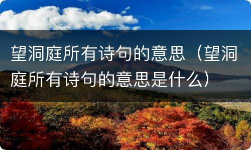 望洞庭所有诗句的意思（望洞庭所有诗句的意思是什么）