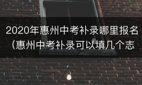 2020年惠州中考补录哪里报名（惠州中考补录可以填几个志愿）
