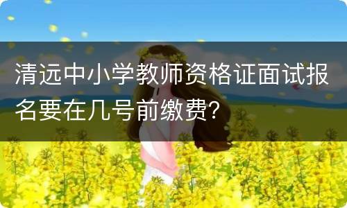 清远中小学教师资格证面试报名要在几号前缴费？