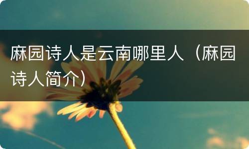 麻园诗人是云南哪里人（麻园诗人简介）