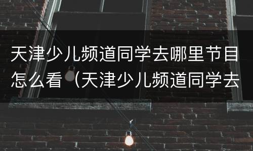 天津少儿频道同学去哪里节目怎么看（天津少儿频道同学去哪儿了）