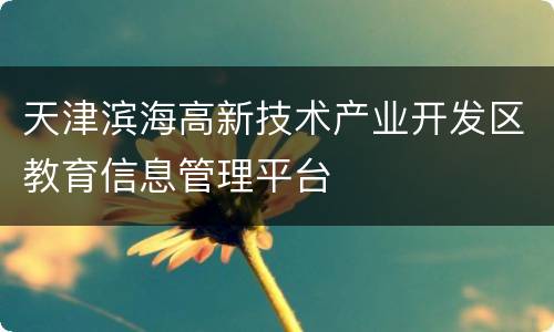 天津滨海高新技术产业开发区教育信息管理平台