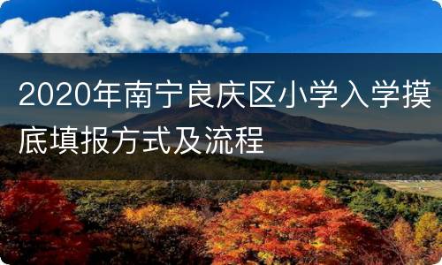 2020年南宁良庆区小学入学摸底填报方式及流程