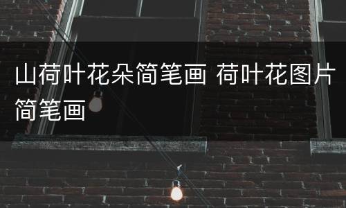 山荷叶花朵简笔画 荷叶花图片简笔画