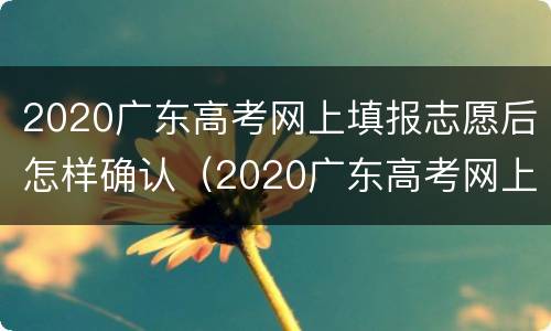 2020广东高考网上填报志愿后怎样确认（2020广东高考网上填报志愿后怎样确认录取结果）