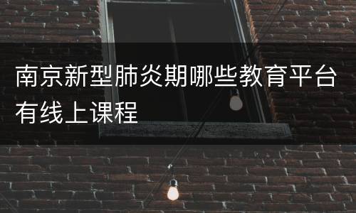 南京新型肺炎期哪些教育平台有线上课程