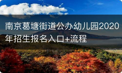 南京葛塘街道公办幼儿园2020年招生报名入口+流程