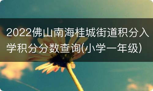 2022佛山南海桂城街道积分入学积分分数查询(小学一年级)