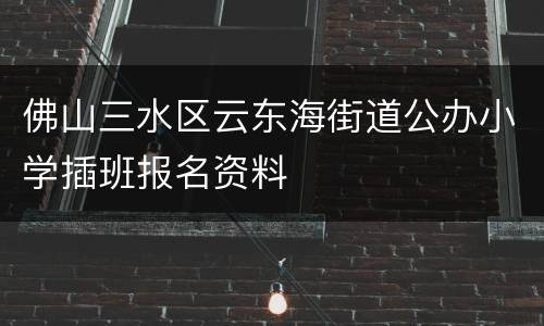 佛山三水区云东海街道公办小学插班报名资料