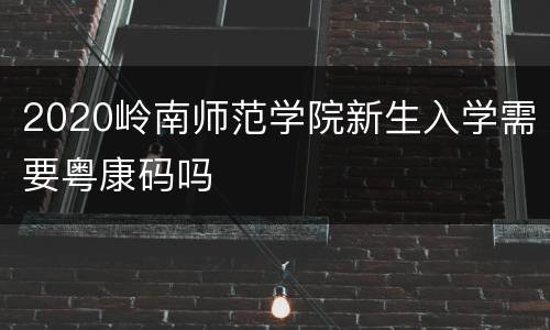 2020岭南师范学院新生入学需要粤康码吗