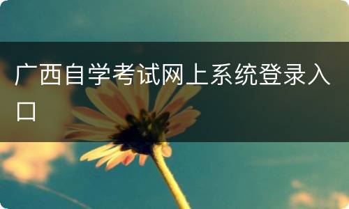 广西自学考试网上系统登录入口