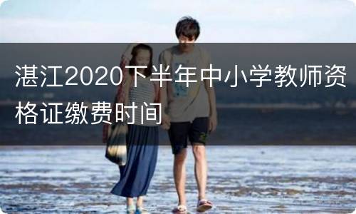 湛江2020下半年中小学教师资格证缴费时间
