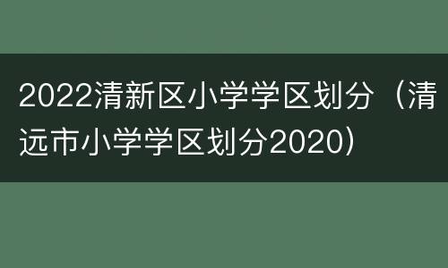 2022清新区小学学区划分（清远市小学学区划分2020）