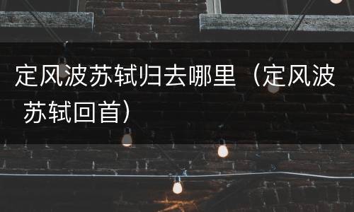 定风波苏轼归去哪里（定风波 苏轼回首）