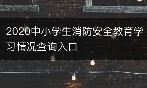 2020中小学生消防安全教育学习情况查询入口