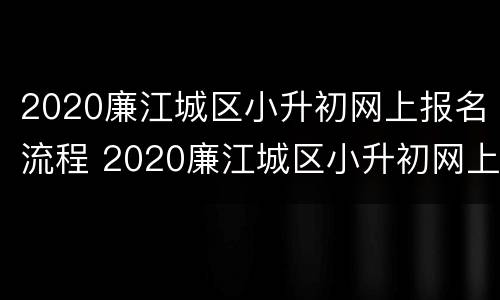 2020廉江城区小升初网上报名流程 2020廉江城区小升初网上报名流程图片