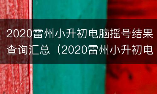 2020雷州小升初电脑摇号结果查询汇总（2020雷州小升初电脑摇号结果查询汇总表）