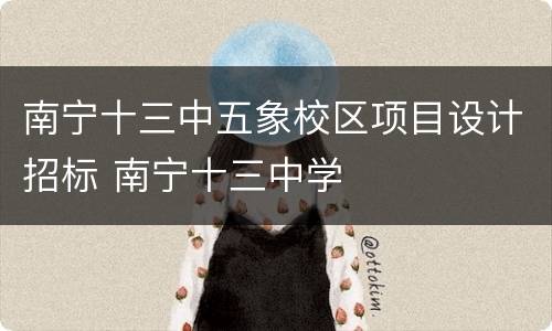 南宁十三中五象校区项目设计招标 南宁十三中学