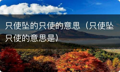 只使坠的只使的意思（只使坠只使的意思是）