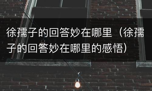 徐孺子的回答妙在哪里（徐孺子的回答妙在哪里的感悟）