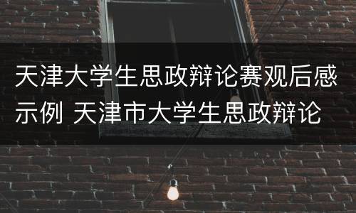 天津大学生思政辩论赛观后感示例 天津市大学生思政辩论