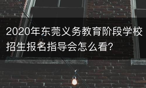2020年东莞义务教育阶段学校招生报名指导会怎么看？