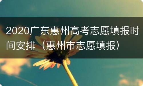 2020广东惠州高考志愿填报时间安排（惠州市志愿填报）