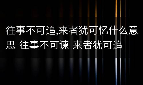 往事不可追,来者犹可忆什么意思 往事不可谏 来者犹可追