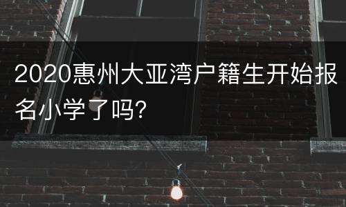 2020惠州大亚湾户籍生开始报名小学了吗？