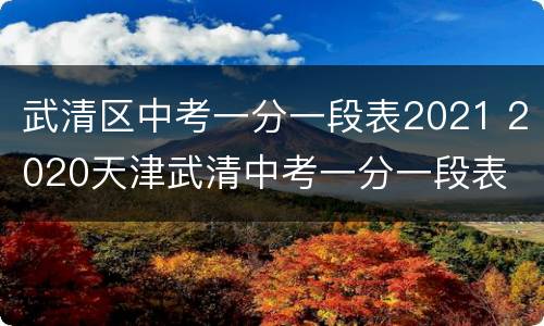 武清区中考一分一段表2021 2020天津武清中考一分一段表