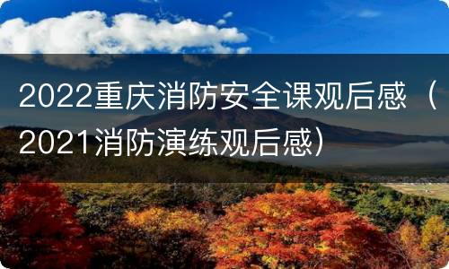 2022重庆消防安全课观后感（2021消防演练观后感）
