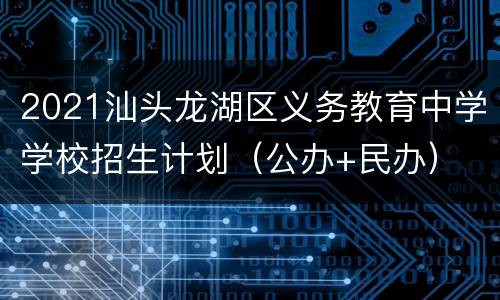 2021汕头龙湖区义务教育中学学校招生计划（公办+民办）